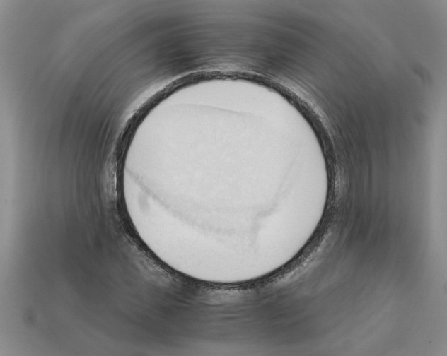 X0000111950925200909071317