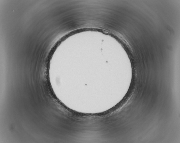X0000111950926200909071317