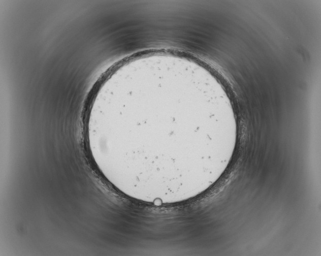 X0000111950927200909071317