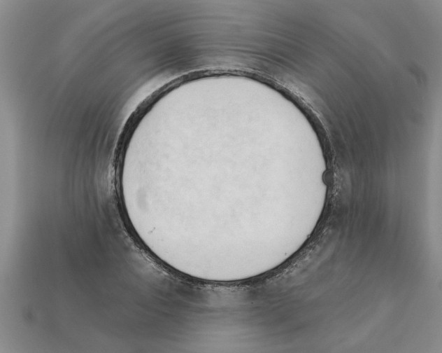 X0000111950928200909071317