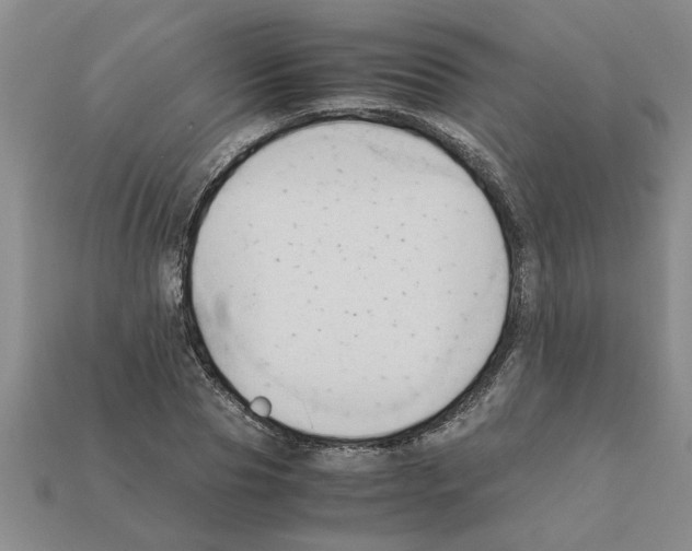 X0000111950929200909071317