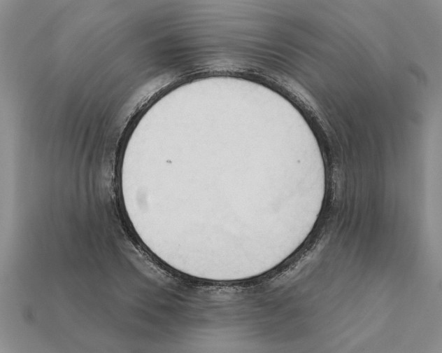 X0000111950930200909071317