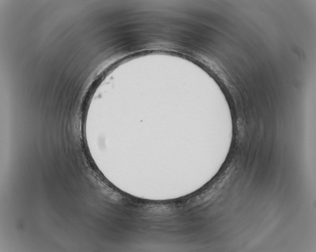 X0000111950931200909071317