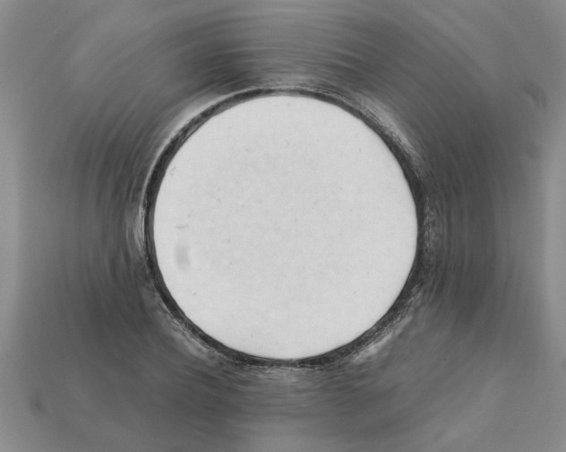 X0000111950932200909071317