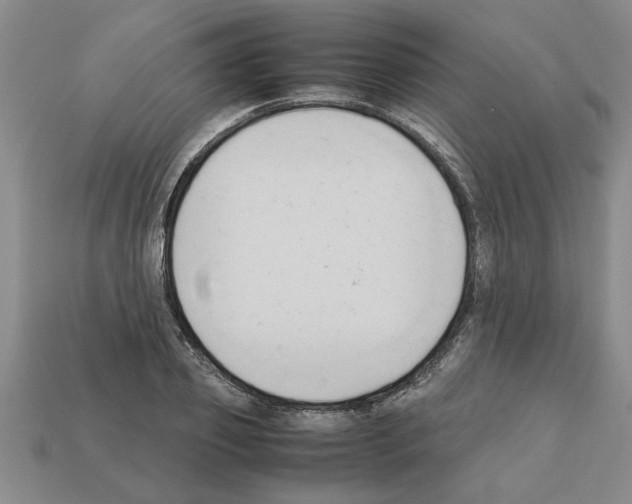 X0000111950933200909071317