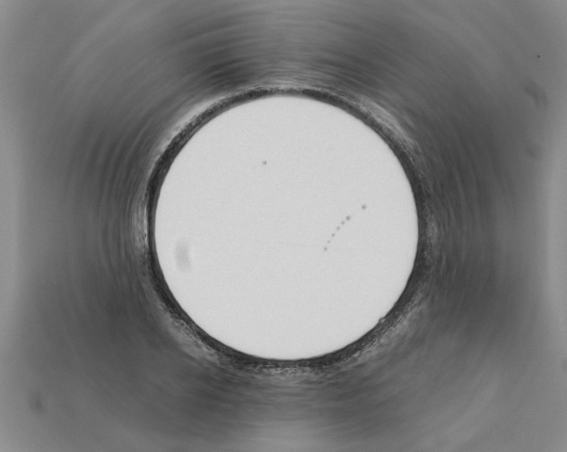 X0000111950934200909071317