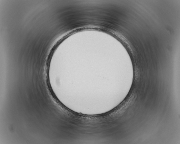 X0000111950935200909071317