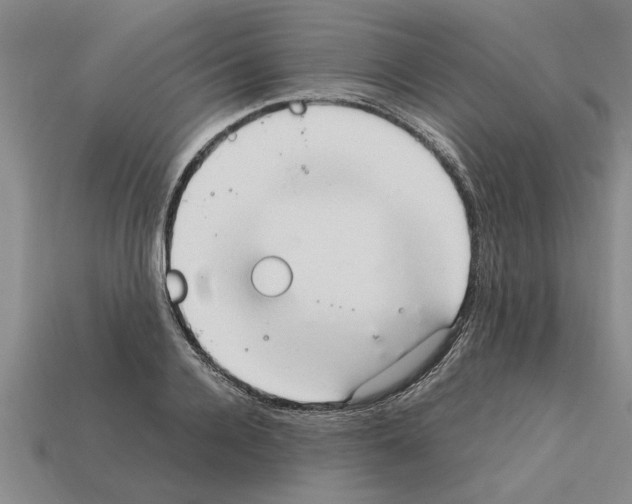 X0000111950936200909071317