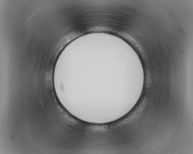 X0000111950937200909071317