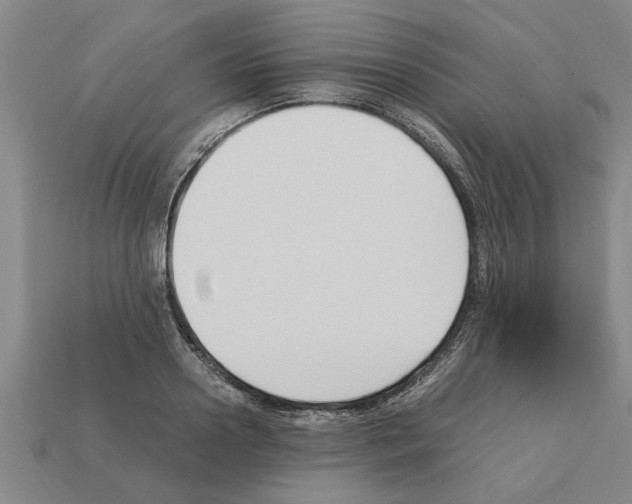 X0000111950938200909071317
