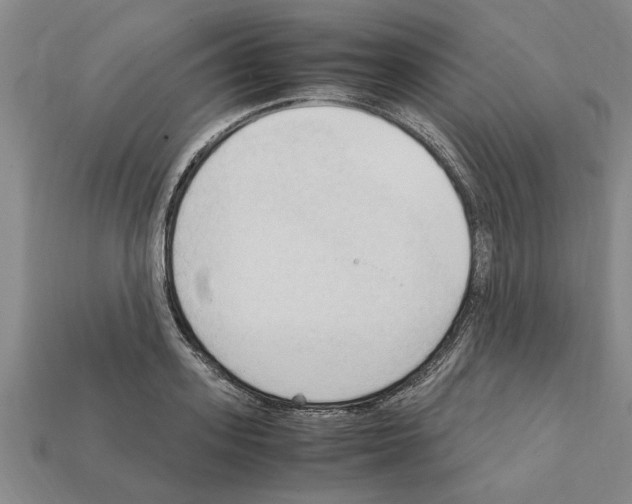 X0000111950939200909071317