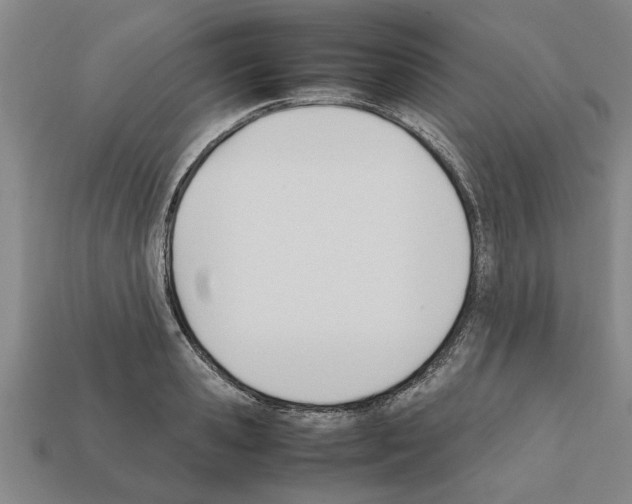 X0000111950941200909071317