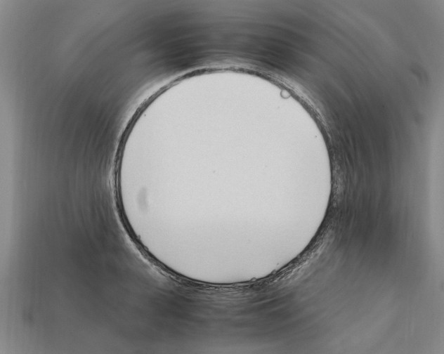 X0000111950943200909071317