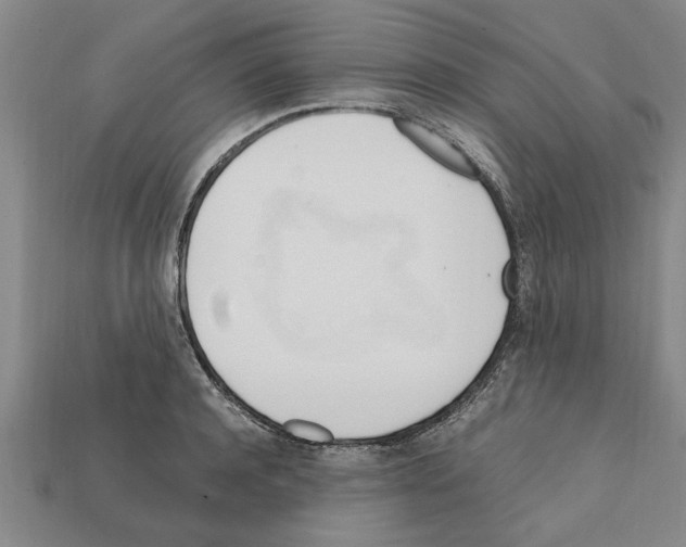 X0000111950944200909071317