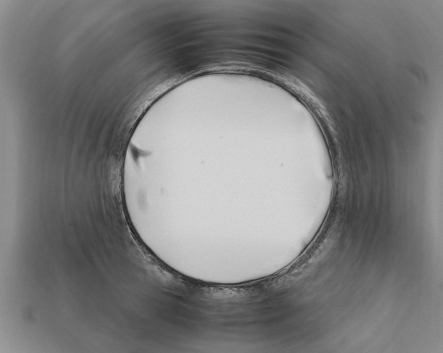 X0000111950945200909071317