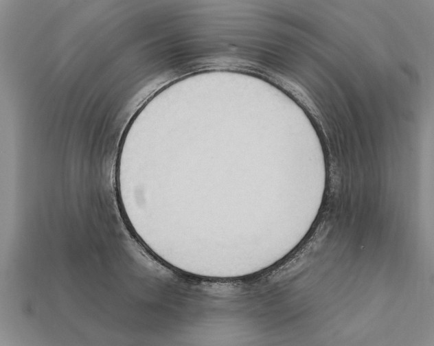 X0000111950946200909071317