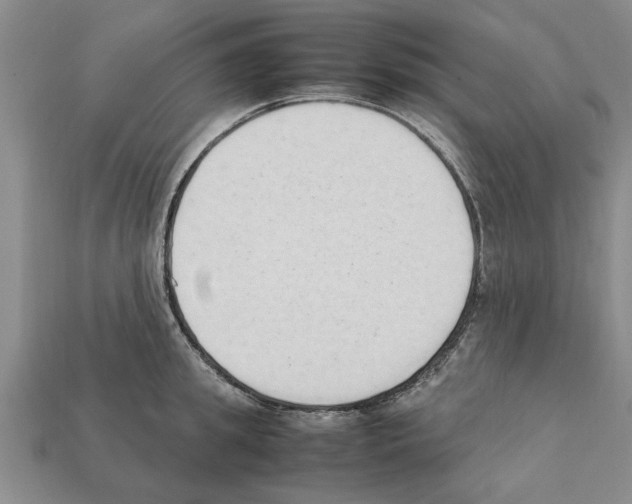 X0000111950949200909071317