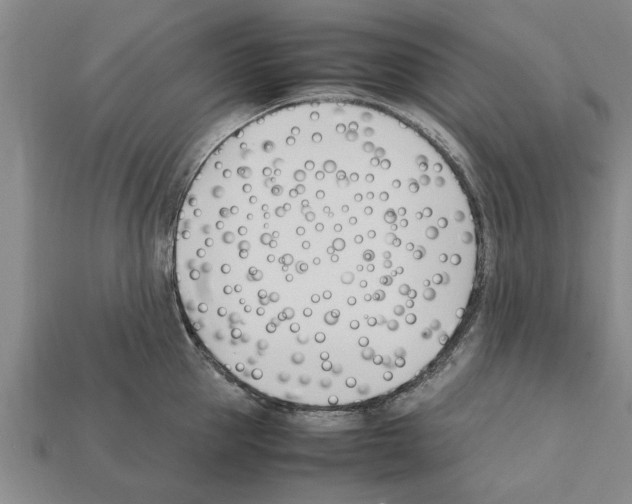 X0000111950953200909071317