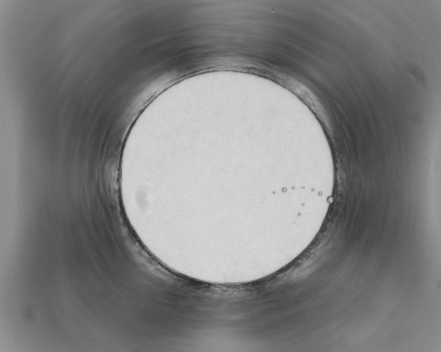 X0000111950954200909071317