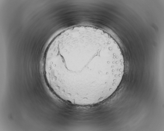 X0000111950955200909071317