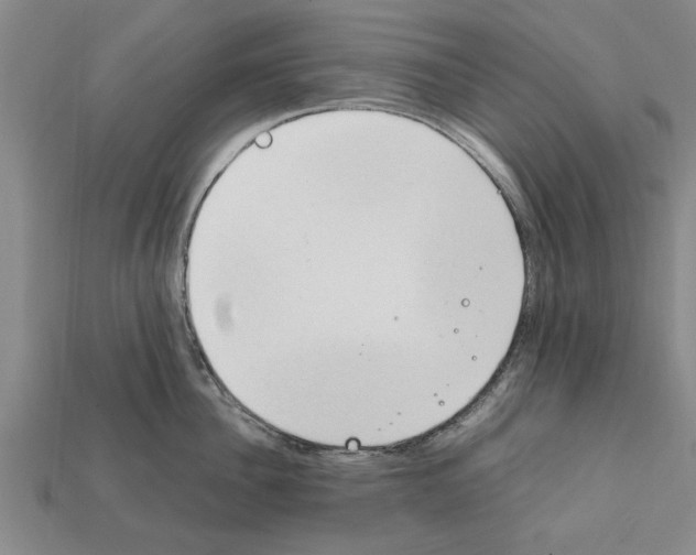 X0000111950956200909071317