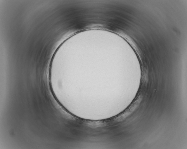 X0000111950957200909071317