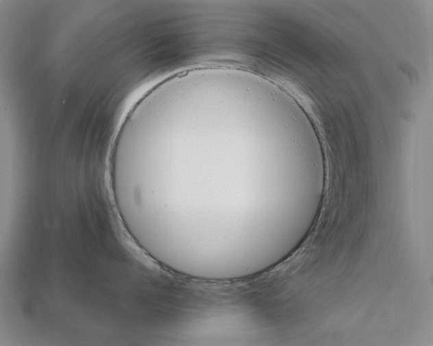 X0000111950960200909071317