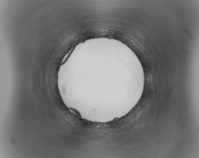 X0000111950961200909071317