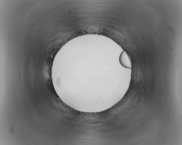 X0000111950962200909071316