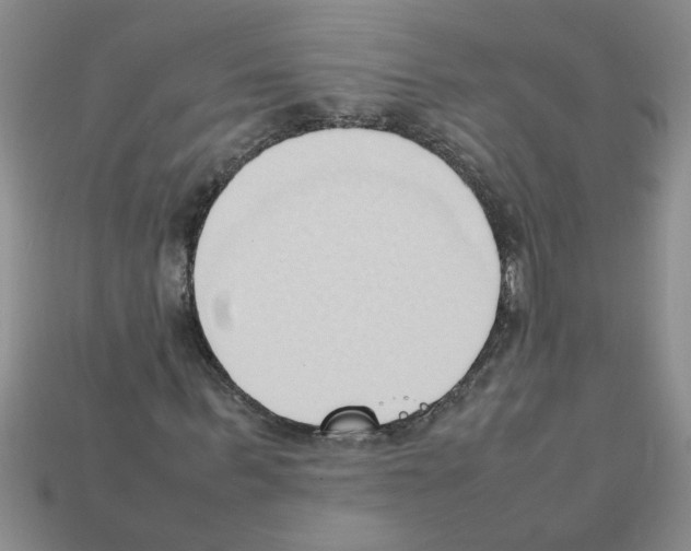 X0000111950963200909071316