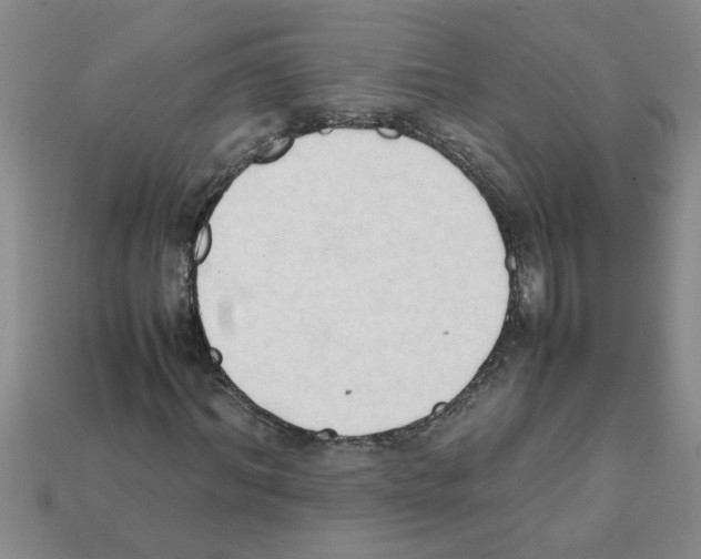X0000111950964200909071316
