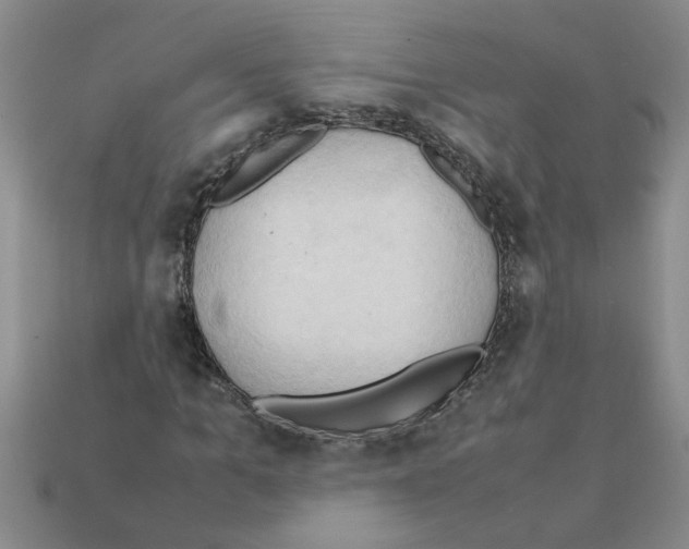 X0000111950965200909071316