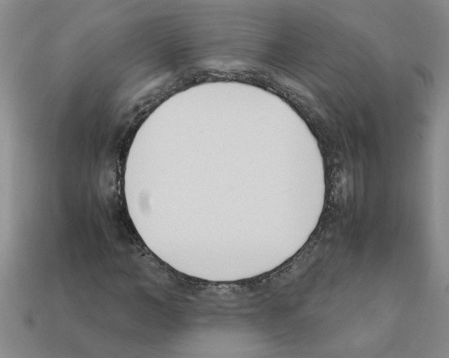 X0000111950966200909071316