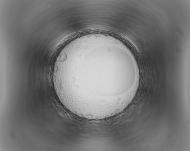 X0000111950968200909071316