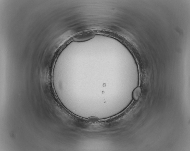 X0000111950969200909071316