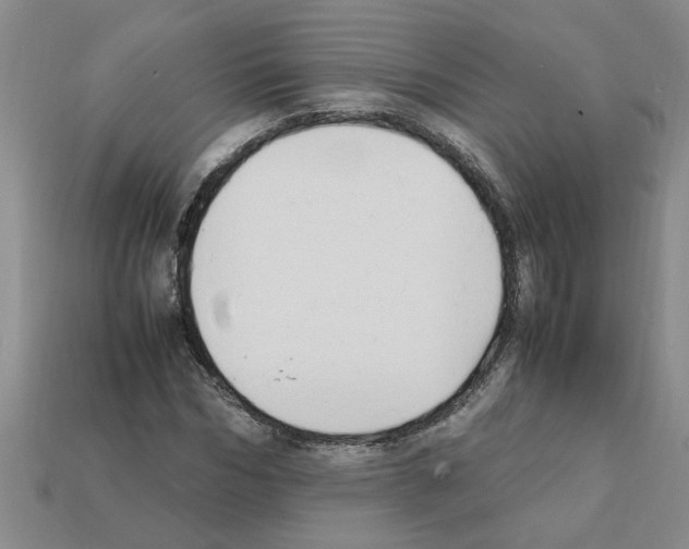X0000111950970200909071316