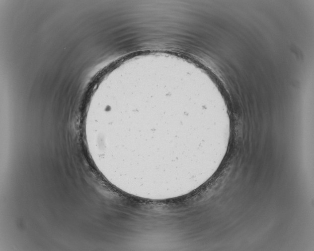 X0000111950971200909071316