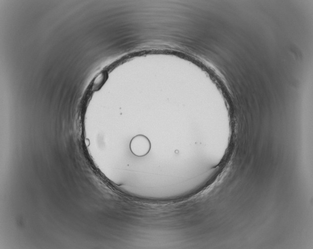 X0000111950973200909071316