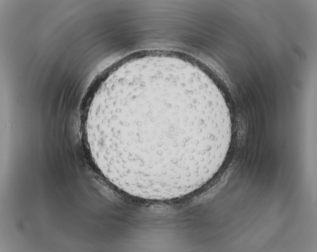 X0000111950974200909071316