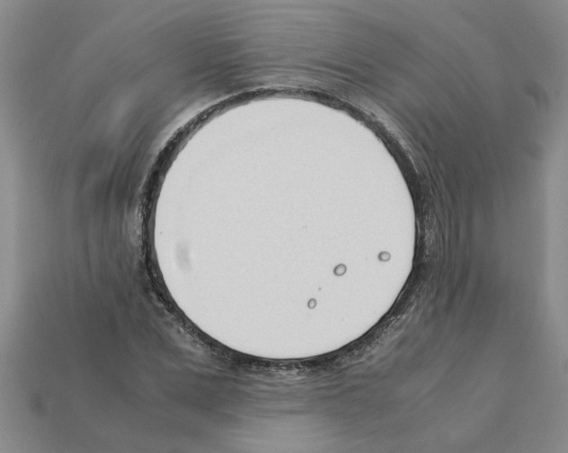 X0000111950975200909071316