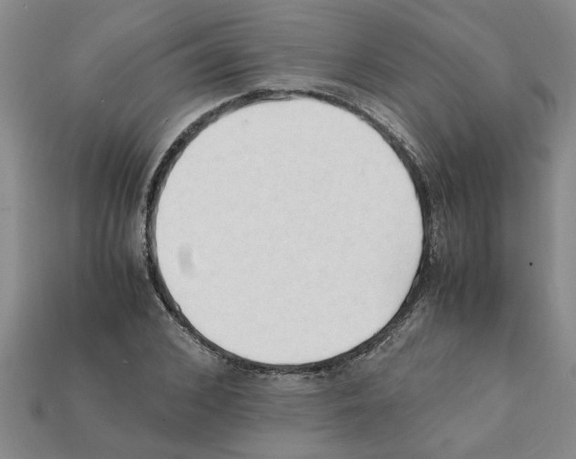 X0000111950976200909071316