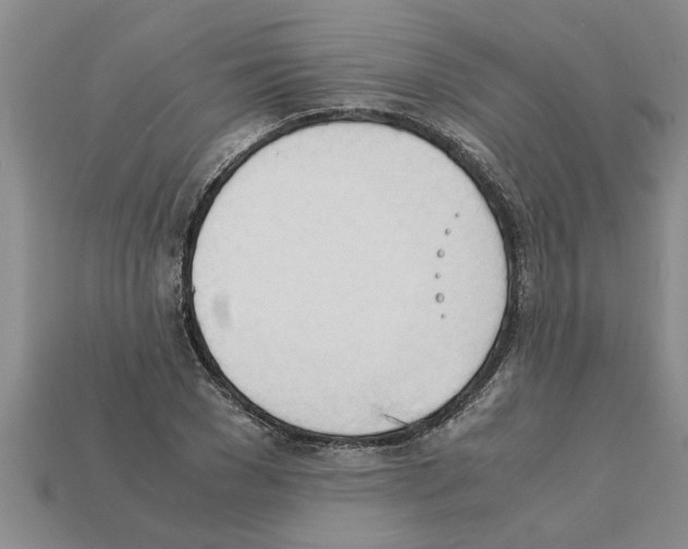 X0000111950977200909071316