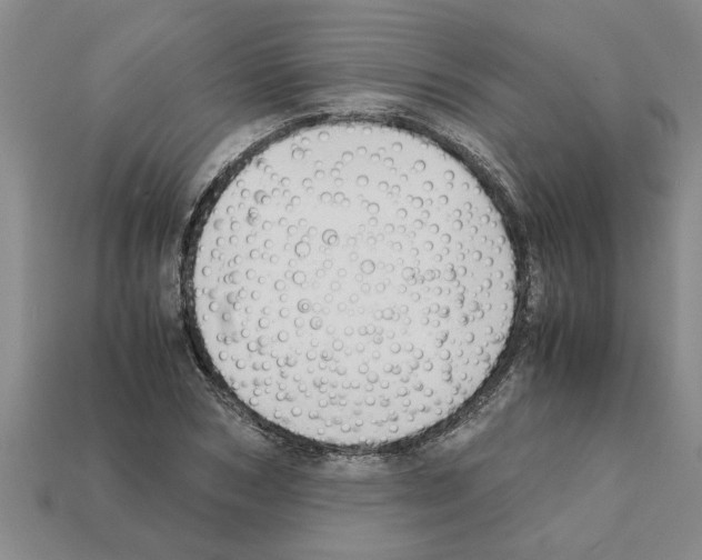 X0000111950978200909071316