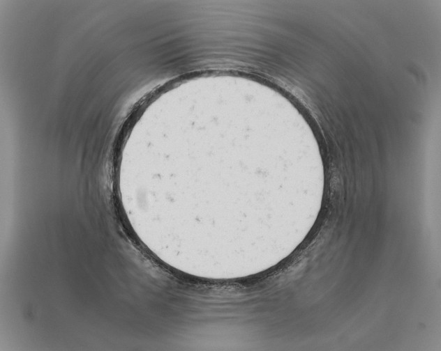 X0000111950979200909071316