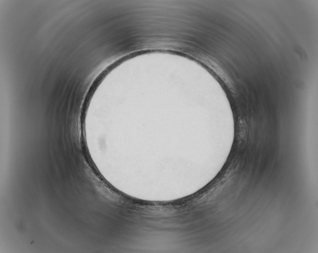 X0000111950980200909071316