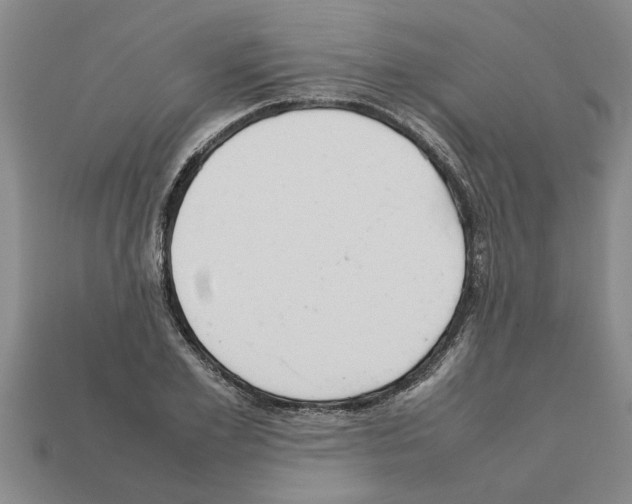 X0000111950981200909071316