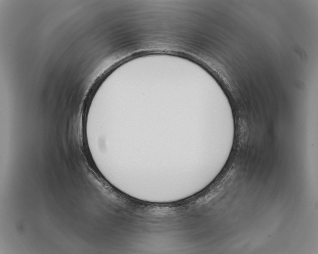 X0000111950982200909071316
