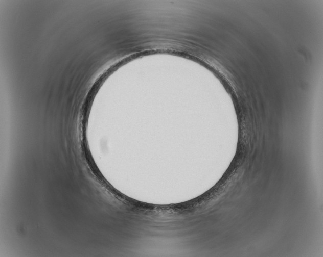 X0000111950983200909071316