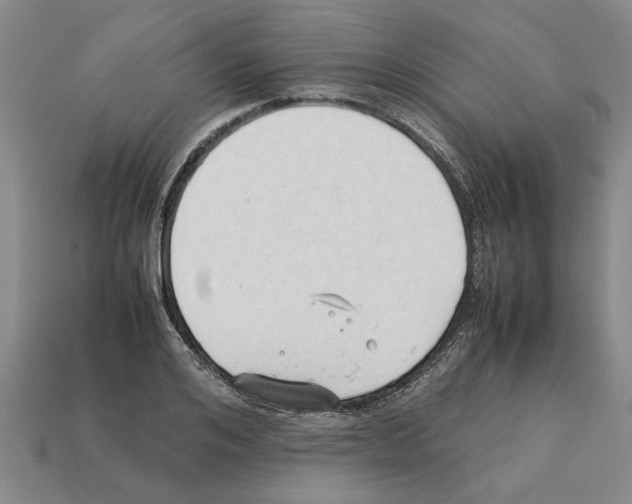 X0000111950984200909071316