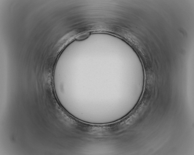 X0000111950985200909071316